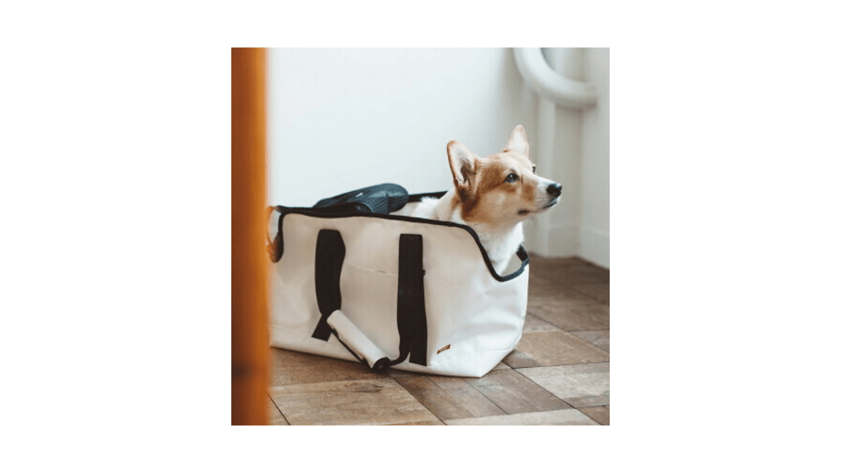 Carryback-for-pets-is-Recommend-Square-Toht-rinen-Solid.jpg