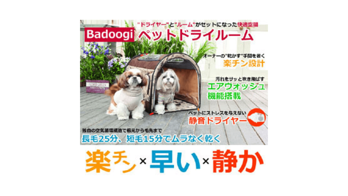 Let's-go-looking-for-Review-of-Pets-Dry-room-with-Columbus,jpg